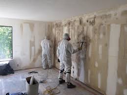  , OH Mold Removal Services Pros